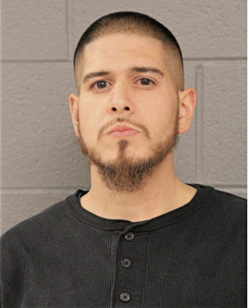 MATTHEW E ROY, Cook County, Illinois
