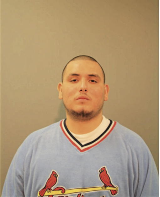 JOAN SALTO, Cook County, Illinois