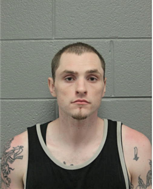 BRADLEY M SCHULTEN, Cook County, Illinois