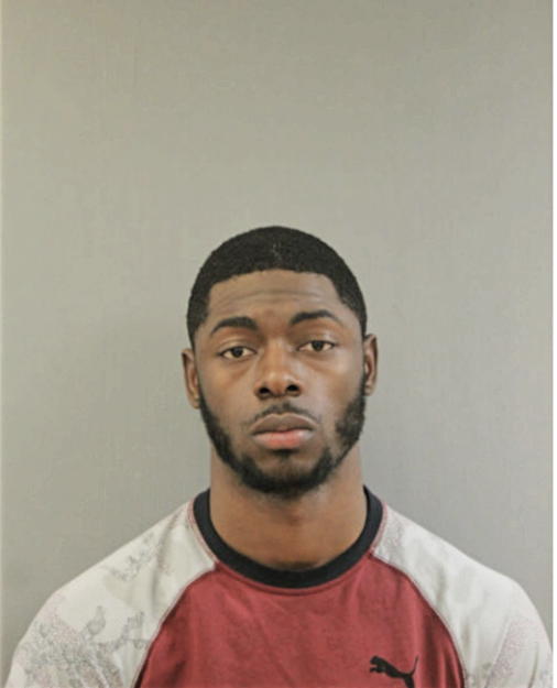 JOELL H SIMMONS, Cook County, Illinois