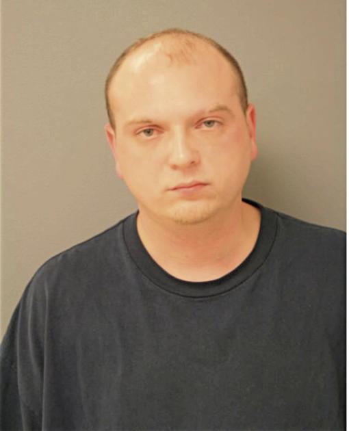 FERDINAND R SPOREA, Cook County, Illinois