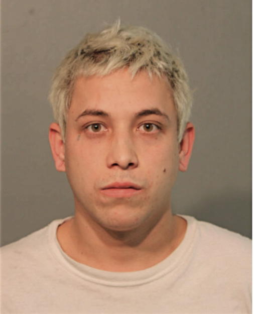 TONY M TARASIUK, Cook County, Illinois
