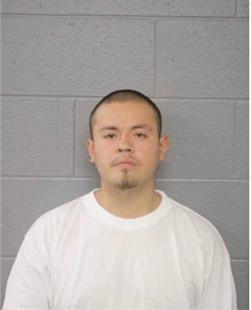 EDGAR UGALDE, Cook County, Illinois