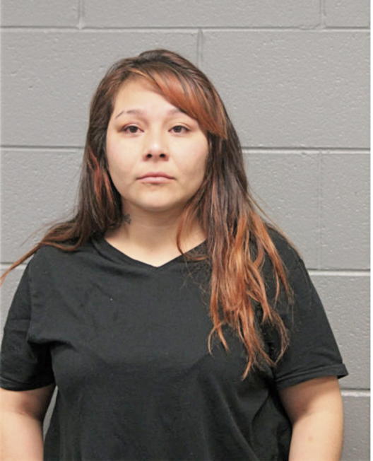 MARIA E VILLA, Cook County, Illinois