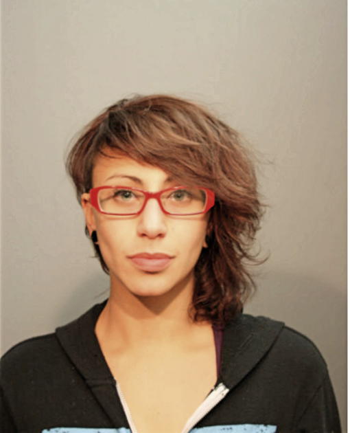 ASHLEY L VOLK, Cook County, Illinois