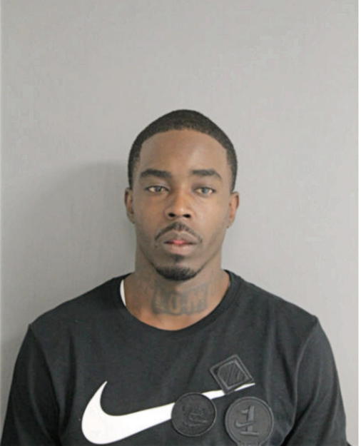 JOHN P WOODARD, Cook County, Illinois