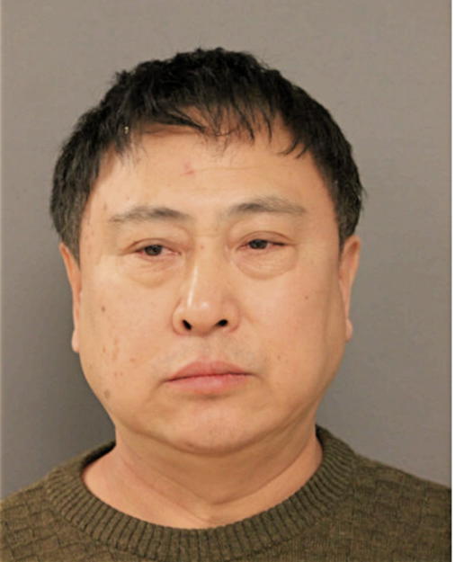 BINGYI ZHANG, Cook County, Illinois