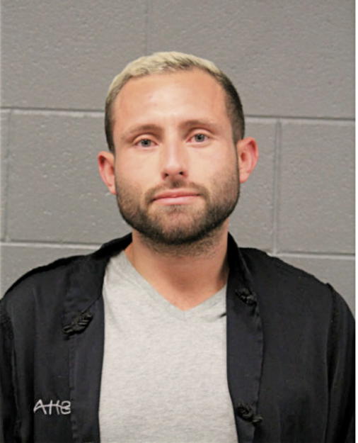 JON C ACEVES, Cook County, Illinois