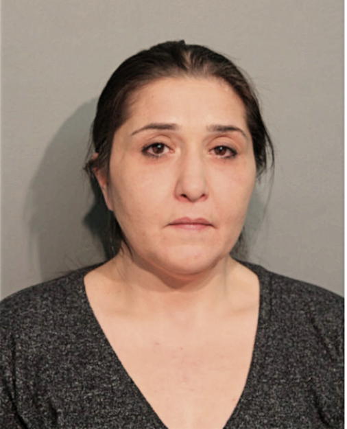 SHAMEH ANAEL, Cook County, Illinois