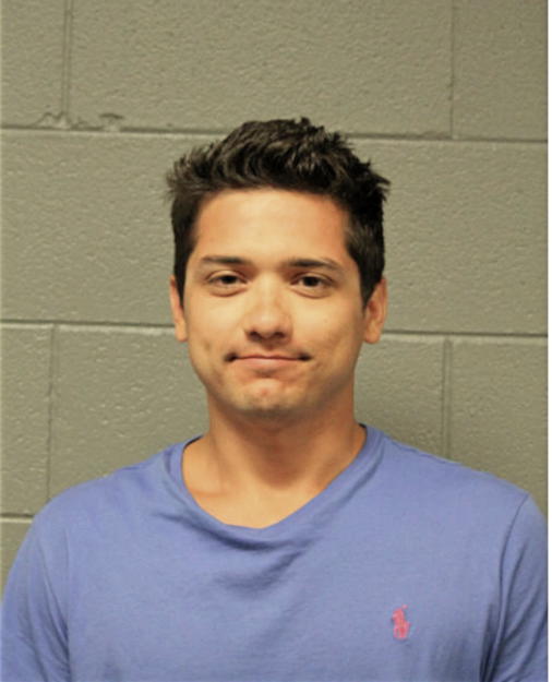 ANDRES A ANDRADE, Cook County, Illinois