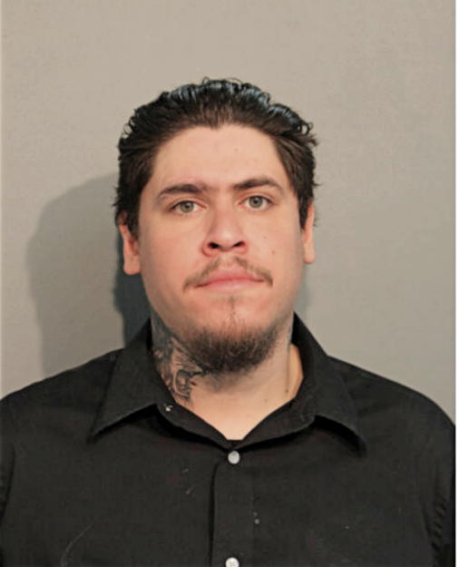 LUIS CAMPOS, Cook County, Illinois