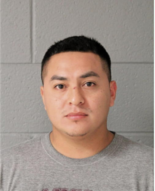LUIS CANTELLANO, Cook County, Illinois