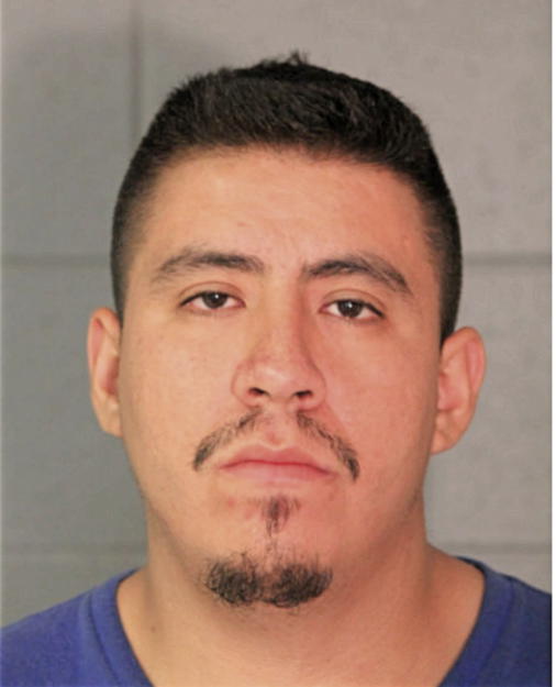 LUIS I COLCHADO, Cook County, Illinois
