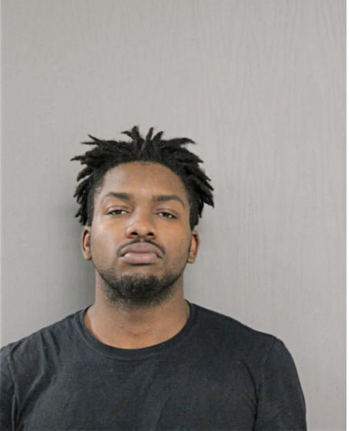 MICHAEL A DAVISON, Cook County, Illinois