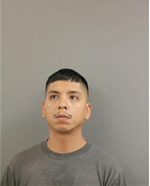 ISRAEL FLORES, Cook County, Illinois