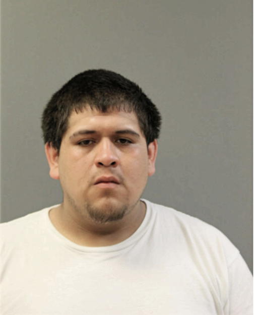 ERICK JOEL FOLSOM, Cook County, Illinois