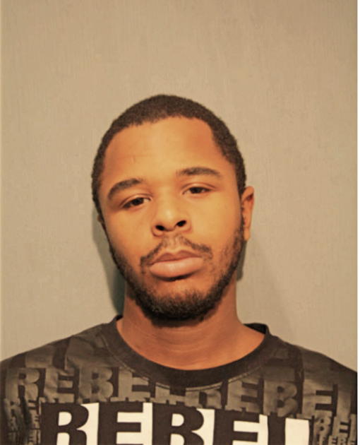 DAVID L JOHNSON, Cook County, Illinois