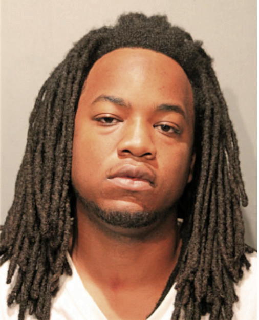 STEPHEN A JOHNSON, Cook County, Illinois