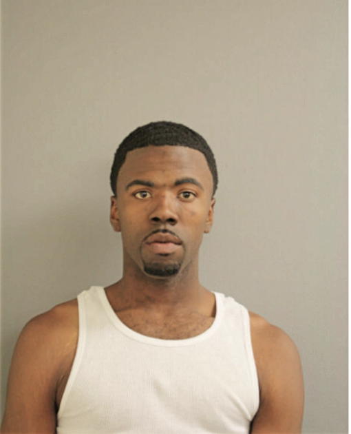 TYRONE M JOHNSON, Cook County, Illinois