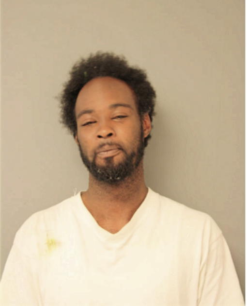 CHRISTIAN D LOWE, Cook County, Illinois