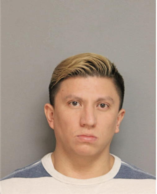 RICARDO E MARTINEZ, Cook County, Illinois