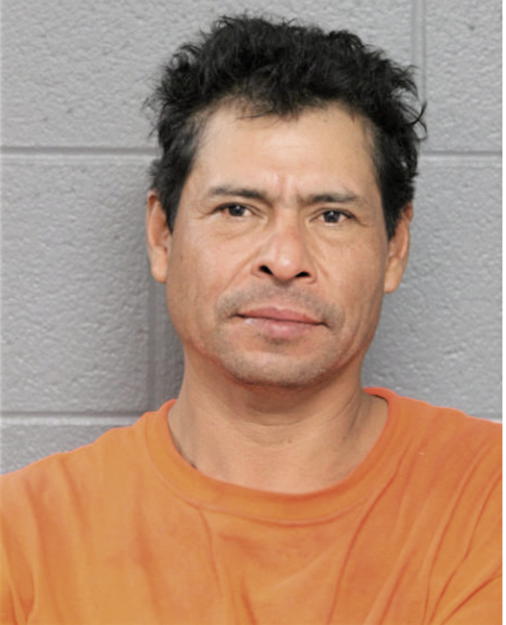 LUIS MATA, Cook County, Illinois