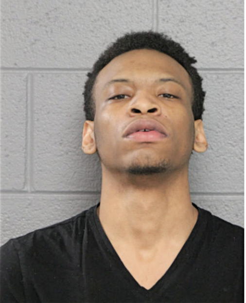 MICHAEL M MATTHEWS, Cook County, Illinois