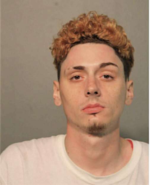 MICHAEL J MCGUE, Cook County, Illinois
