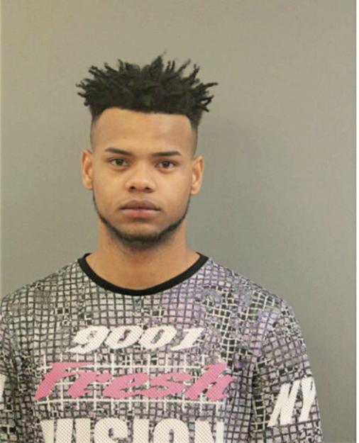 SHANELL D MEDINA HIPOLITE, Cook County, Illinois