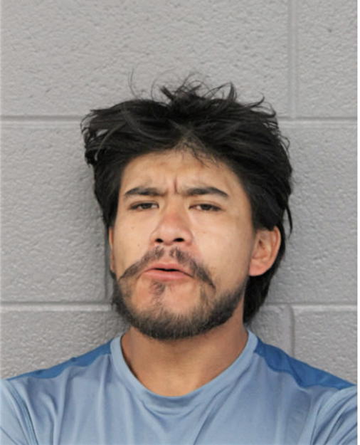 MISAEL M MELCHOR, Cook County, Illinois