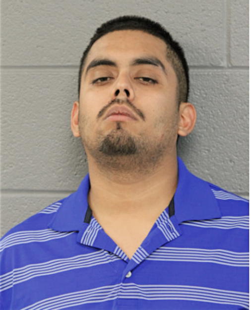 JULIO A PLASENCIA, Cook County, Illinois