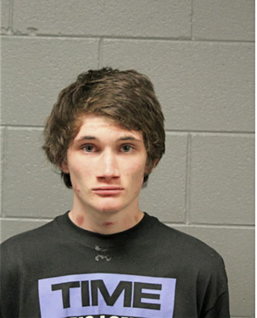 DAMION M PRIFOGLE, Cook County, Illinois