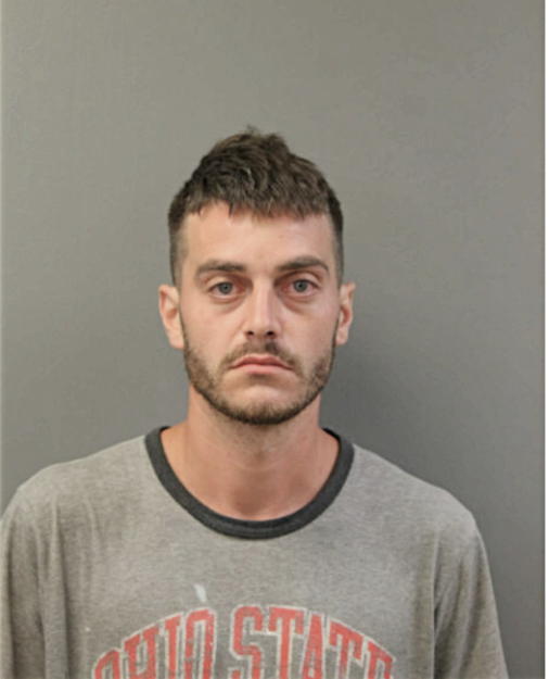 ANTHONY R SALEMI, Cook County, Illinois