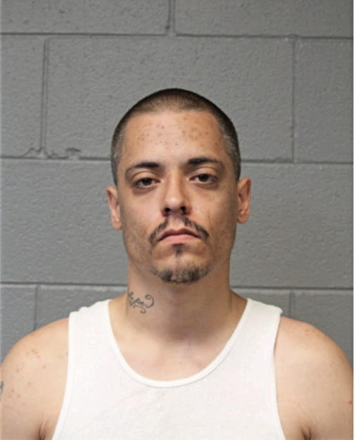 ROBERT M SCHWAMLEIN, Cook County, Illinois