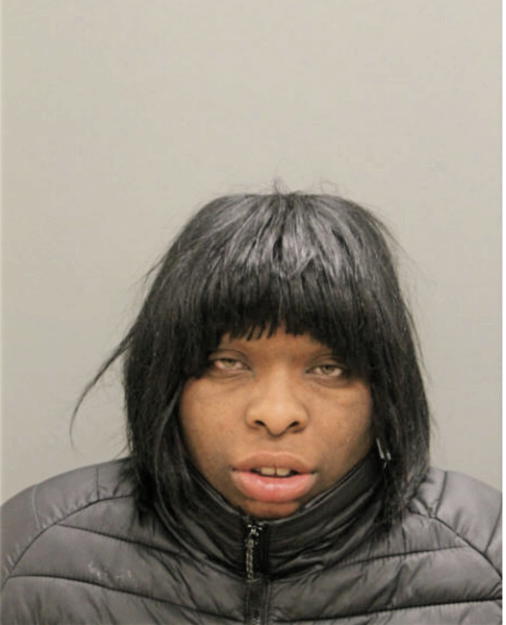 TIERA Y SOLE, Cook County, Illinois