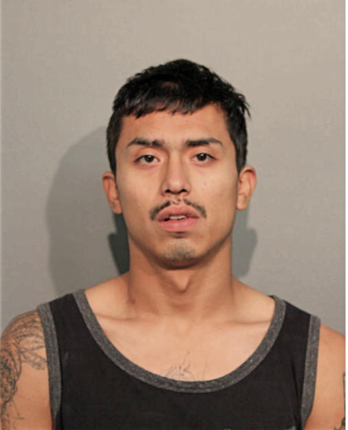 DIEGO E VAZQUEZ`, Cook County, Illinois