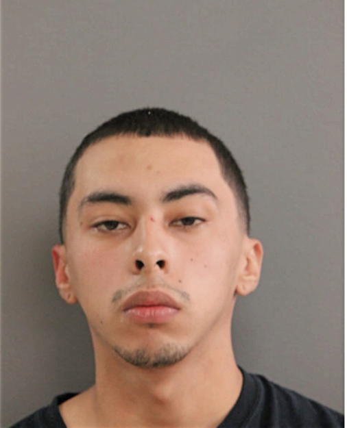 JOSE DAVID VENCES-DIAZ, Cook County, Illinois