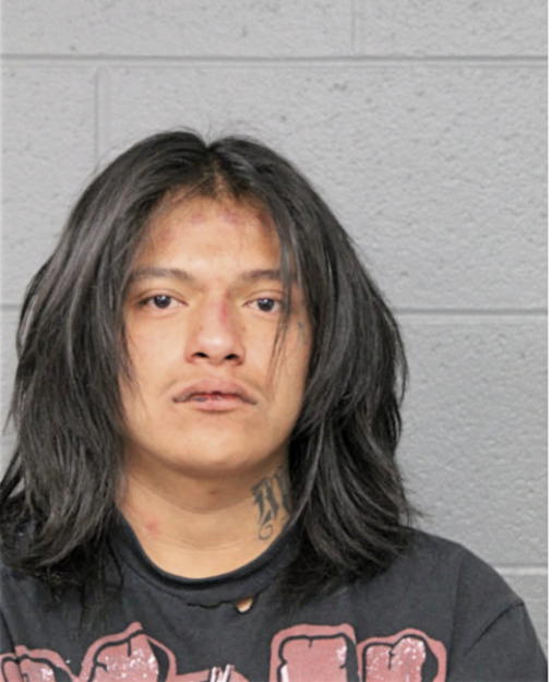 BERNARDINO VILLAMIL, Cook County, Illinois