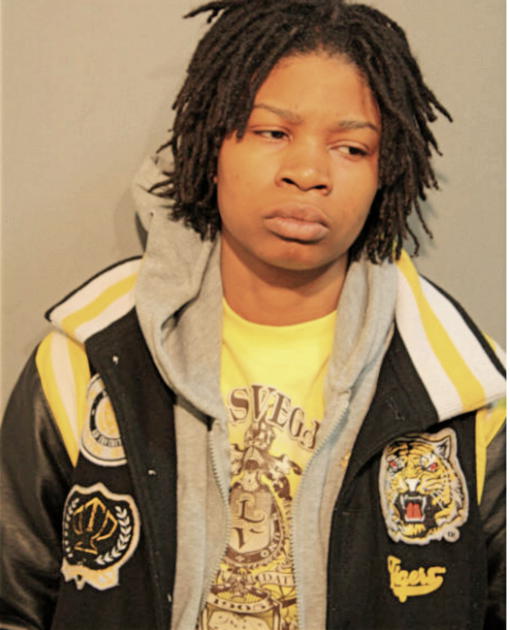 DONNA A WILSON, Cook County, Illinois