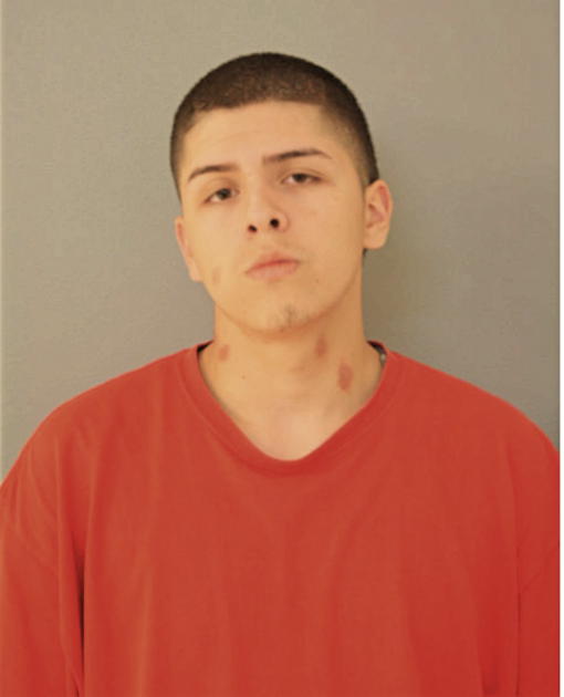 FABIAN ZARAGOZA, Cook County, Illinois