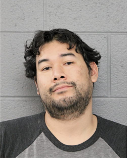 RONNIE ARAUJO, Cook County, Illinois
