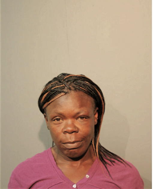 ELVIRA R BIBBS, Cook County, Illinois