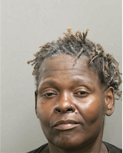 LISA L BOOSE, Cook County, Illinois