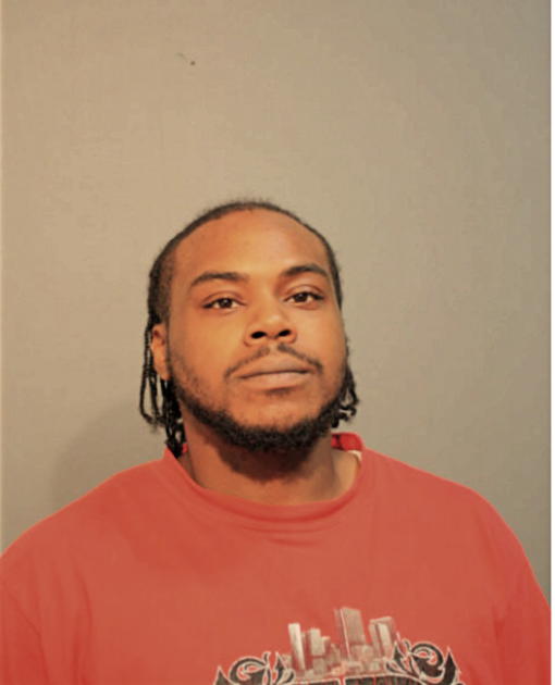PATRICK L BROWN, Cook County, Illinois
