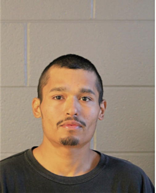 DAVID C CALVILLO, Cook County, Illinois
