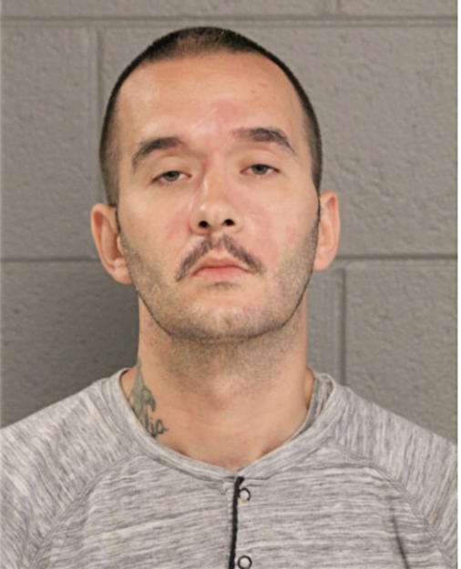 EARL R CASTEEL, Cook County, Illinois