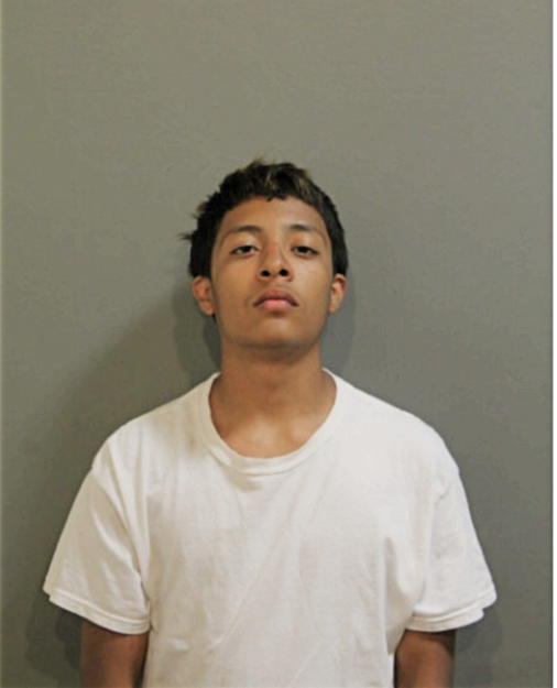 RICARDO ANTONIO CISNEROS, Cook County, Illinois