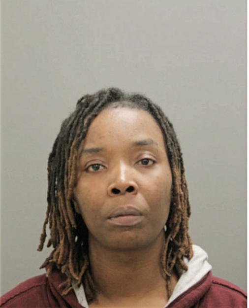 BRITTANY L DAVISON, Cook County, Illinois