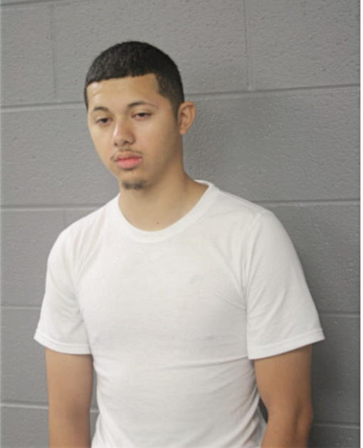 FRANK DELAHOYA, Cook County, Illinois