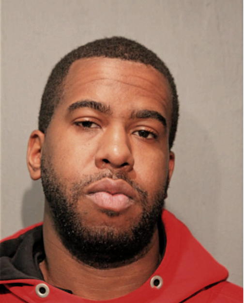 MICHAEL D DOGAN, Cook County, Illinois